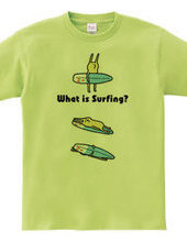 SURFING -rabbit&surfboard