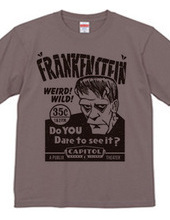 FRANKENSTEIN DISPLAY