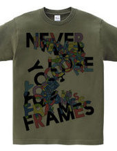 NEVER LOSE YOUR FRAMES COLORS