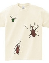 The T-shirts 3 beetles are on