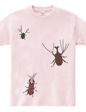 The T-shirts 3 beetles are on