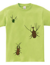 The T-shirts 3 beetles are on