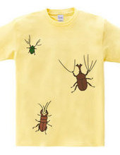 The T-shirts 3 beetles are on