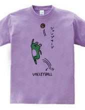 VOLLEYBALL -frog & Jump serve