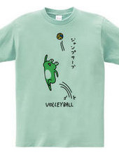 VOLLEYBALL -frog & Jump serve