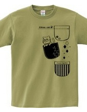 【Citrus cat】 Three pocket