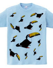 Toucan double-sided design