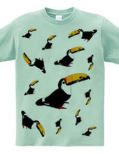 Toucan double-sided design