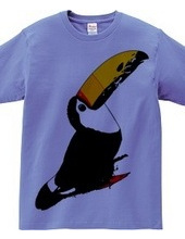 Toucan color