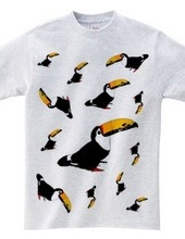 Toucan front only