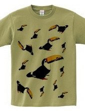 Toucan front only