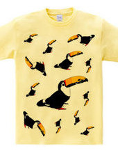 Toucan front only