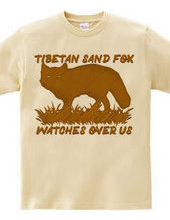 Tibetan_sand_fox_watches_over_us