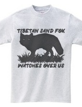 Tibetan_sand_fox_watches_over_us