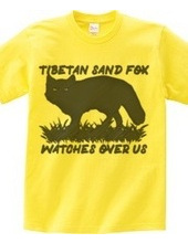 Tibetan_sand_fox_watches_over_us