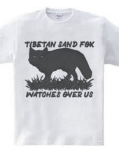 Tibetan_sand_fox_watches_over_us