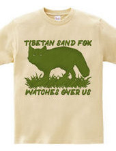 Tibetan_sand_fox_watches_over_us