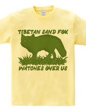 Tibetan_sand_fox_watches_over_us