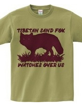 Tibetan_sand_fox_watches_over_us