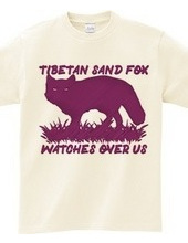 Tibetan_sand_fox_watches_over_us