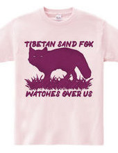 Tibetan_sand_fox_watches_over_us