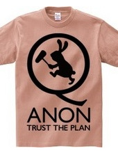 QANON TRUST THE PLAN