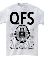 QFS:quantum Financial System
