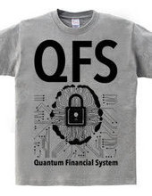 QFS：Quantum Financial System