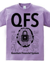 QFS：Quantum Financial System