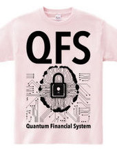 QFS：Quantum Financial System