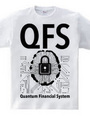 QFS：Quantum Financial System