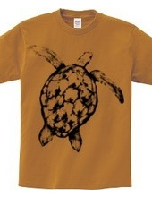 Sea turtle