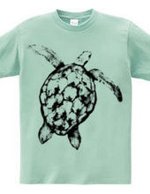 Sea turtle