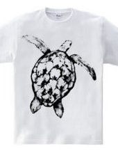 Sea turtle