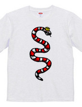 Milk snake