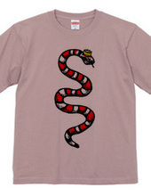 Milk snake