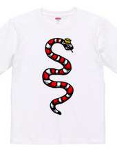 Milk snake