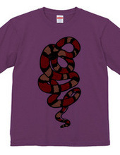 Milk Snake 2