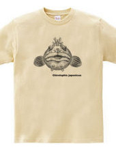 Fringed blenny(medium size design)