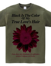 Black Is The Color Of My True Love s Hair【 Girly version 】【 