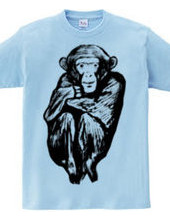 Chimp