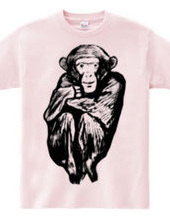 Chimp