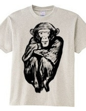 Chimp