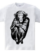 Chimp