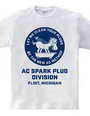 AC SPARK PLUG