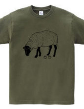 Black Sheep -Summer Fashion- Sheep Animal Illustration