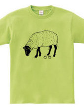 Black Sheep -Summer Fashion- Sheep Animal Illustration