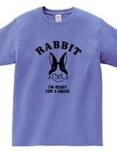 Rabbit Rabbit Animal Illustration