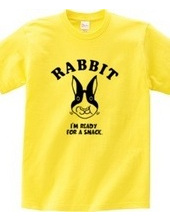 Rabbit Rabbit Animal Illustration