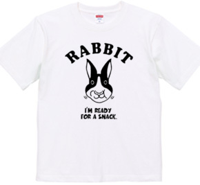 Rabbit ウサギ 動物イラスト アメカジ